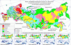 Пожароопасная ситуация в Брянской области: актуальная информация.