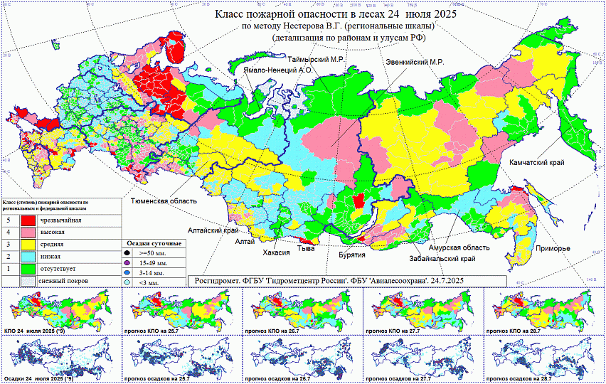 Пожароопасная ситуация в Брянской области: актуальная информация.