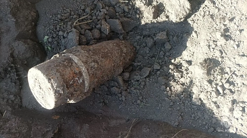 В Трубчевском районе обезврежен взрывоопасный предмет ВОВ 