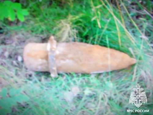 В Брянском районе обезврежен взрывоопасный предмет времён ВОВ