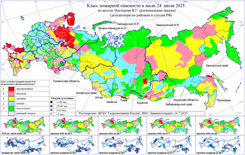 Пожароопасная ситуация в Брянской области: актуальная информация.