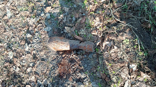 В Брянском районе обезврежен взрывоопасный предмет времён ВОВ